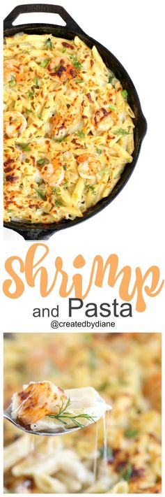 Creamy Shrimp and Pasta