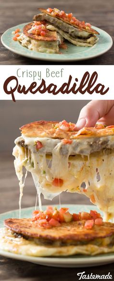 Crispy Beef Quesadillas