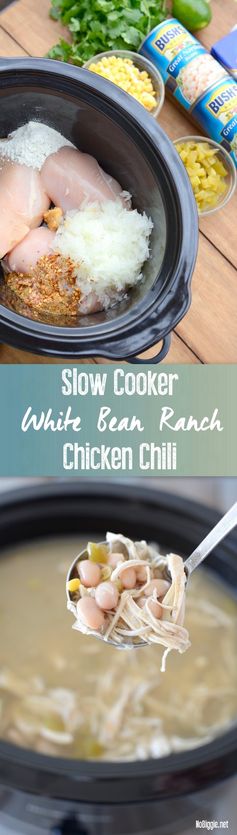 Crockpot white bean ranch chicken chili