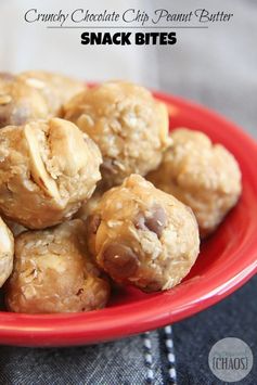 Crunchy Chocolate Chip Peanut Butter Snack Bites