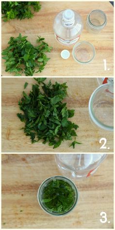 DIY Mint Extract