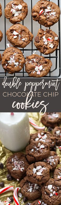 Double Peppermint Chocolate Chip Cookies