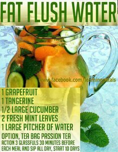 Dr. Oz Fat Flush Water