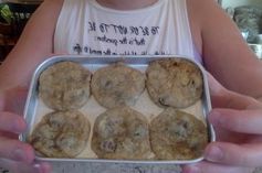 Easy Bake Oven Secret Chocolate Chip Cookies