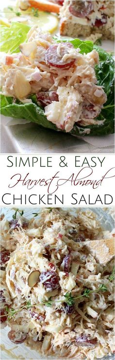 Easy Harvest Almond Chicken Salad