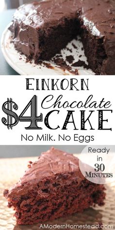 Einkorn Chocolate Cake