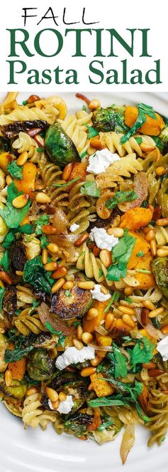 Fall Rotini Pasta Salad