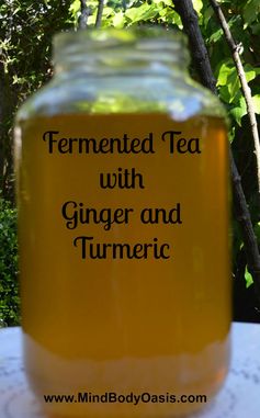 Fermented Tea with Ginger and Tumeric