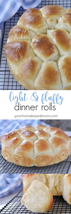 Fluffy Dinner Rolls