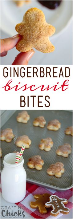 Gingerbread Biscuit Bites - A Holiday Breakfast