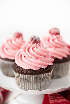 Gingerbread Cupcakes with Cranberry Buttercream Frosting