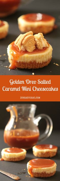 Golden Oreo Salted Caramel Mini Cheesecakes