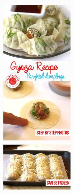 Gyoza Recipe (Japanese Pan-Fried Dumplings