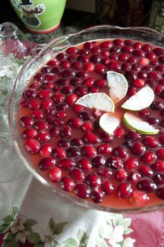 Holiday Red Cranberry Punch