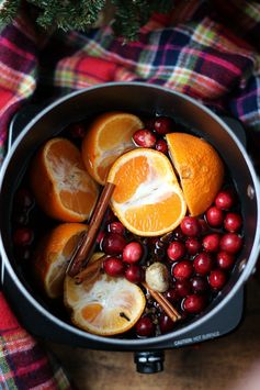 Homemade Holiday Potpourri