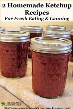 Homemade Tomato Ketchup for Canning