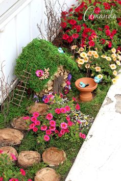 How to Start a Fairy Garden