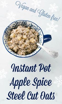 Instant Pot Apple Spice Steel Cut Oats for 2