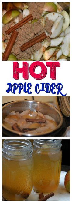 Instant Pot Homemade Hot Apple Cider