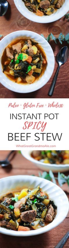 Instant Pot Spicy Beef Stew