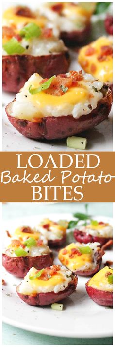 Loaded Baked Potato Bites