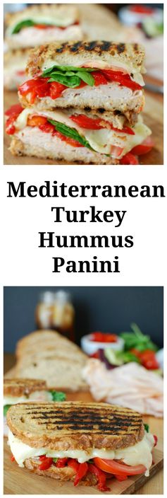 Mediterranean Turkey Hummus Panini