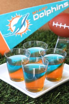 Miami Dolphins Jell-O Shots