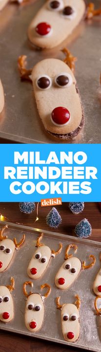 Milano Reindeer Cookies