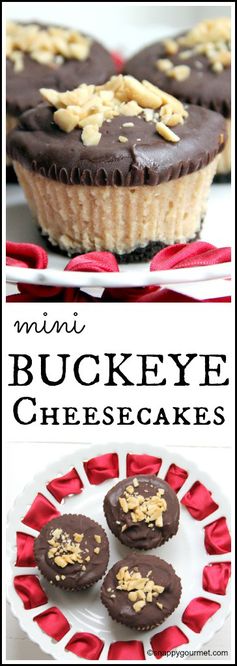 Mini Buckeye Cheesecakes