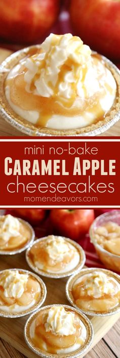 Mini No-Bake Caramel Apple Cheesecakes