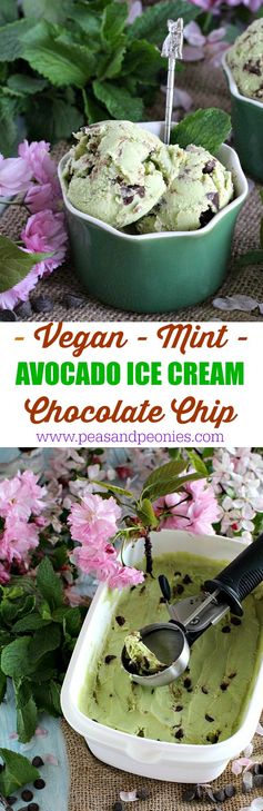 Mint Chocolate Chip Avocado Ice Cream