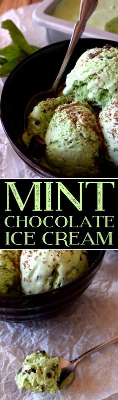 Mint Chocolate Chip Ice Cream