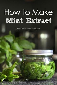 Mint Extract