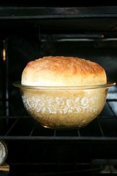 My Mother’s Peasant Bread: The Best Easiest Bread You Will Ever Make