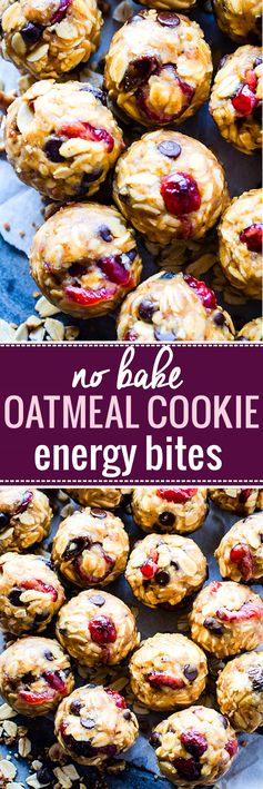 No Bake Loaded Oatmeal Cookie Energy Bites (Gluten Free, Vegan Friendly