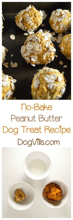 No-Bake Peanut Butter Dog Treat