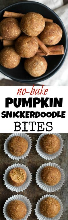 No Bake Pumpkin Snickerdoodle Bites