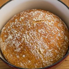 No Knead Dutch Oven Whole Wheat Bread