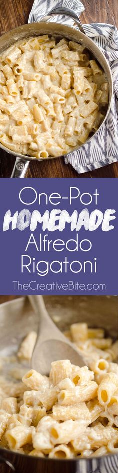 One-Pot Homemade Alfredo Rigatoni