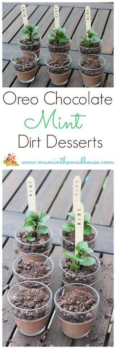 Oreo dirt desserts or chocolate mint puddings