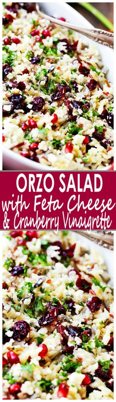 Orzo Pasta Salad with Feta Cheese and Cranberry Pomegranate Vinaigrette