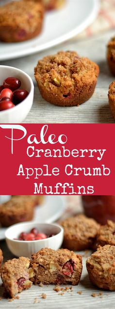 Paleo Cranberry Apple Crumb Muffins