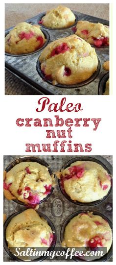 Paleo Cranberry Nut Muffins