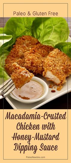 Paleo Macadamia-Crusted Chicken with Honey-Mustard Sauce