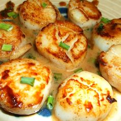 PAN-SEARED SEA SCALLOPS in Herb Butter Wine Sauce