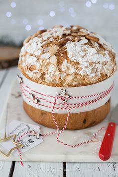 Panettone facile e veloce