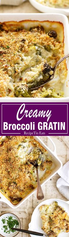 Parmesan Garlic Broccoli Gratin