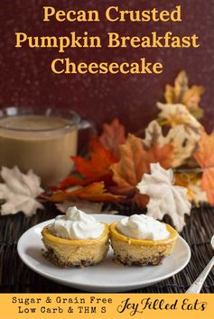 Pecan Crusted Pumpkin Breakfast Cheesecakes