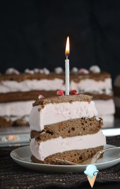 Peppermint Brownie Ice Cream Cake (And My 21st Birthday