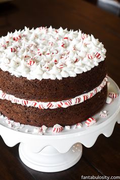 Peppermint Mocha Crunch Cake